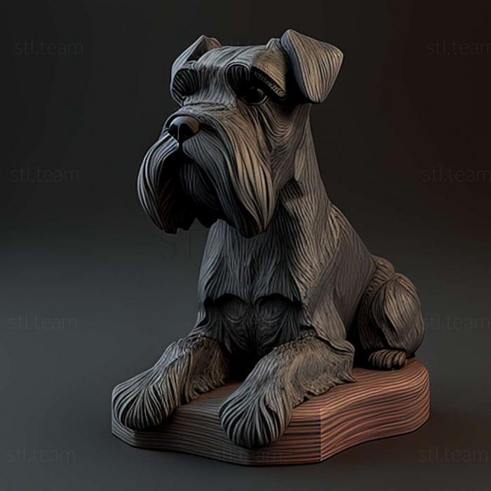 Zwergschnauzer dog